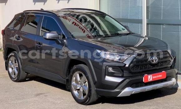 Buy Used Toyota RAV4 Beige Car in Ezulwini in Hhohho Buy Used Toyota RAV4 Beige Car in Ezulwini in Hhohho