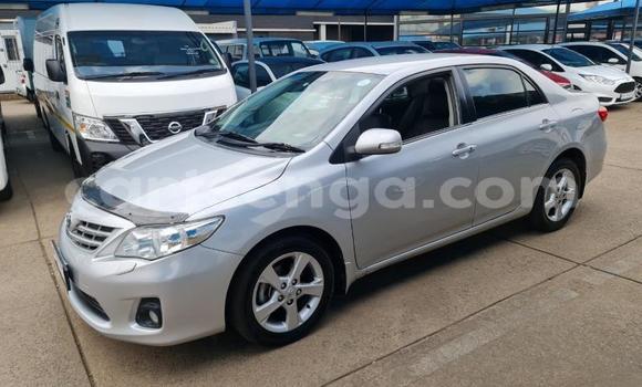 Nunua Ilio tumika Toyota Corolla Silver Gari ndani ya Ezulwini nchini Hhohho Nunua Ilio tumika Toyota Corolla Silver Gari ndani ya Ezulwini nchini Hhohho