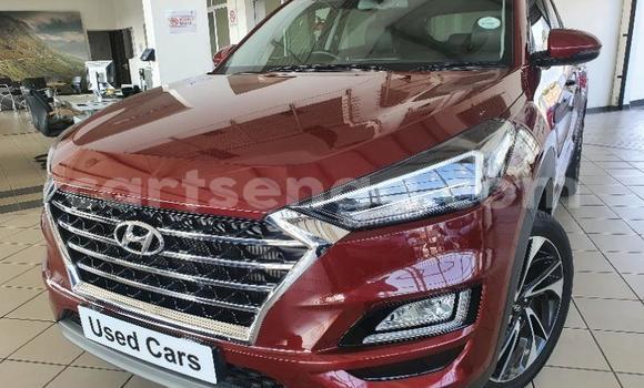 Buy Used Hyundai Tucson Red Car in Manzini in Manzini Buy Used Hyundai Tucson Red Car in Manzini in Manzini
