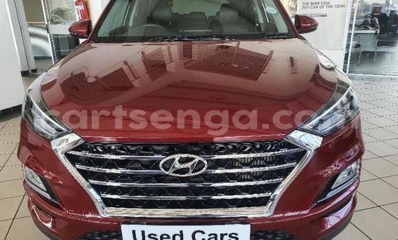 Nunua Ilio tumika Hyundai Tucson Red Gari ndani ya Manzini nchini Manzini Nunua Ilio tumika Hyundai Tucson Red Gari ndani ya Manzini nchini Manzini