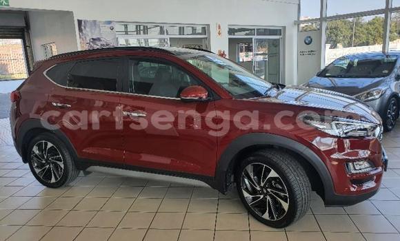 Nunua Ilio tumika Hyundai Tucson Red Gari ndani ya Manzini nchini Manzini Nunua Ilio tumika Hyundai Tucson Red Gari ndani ya Manzini nchini Manzini