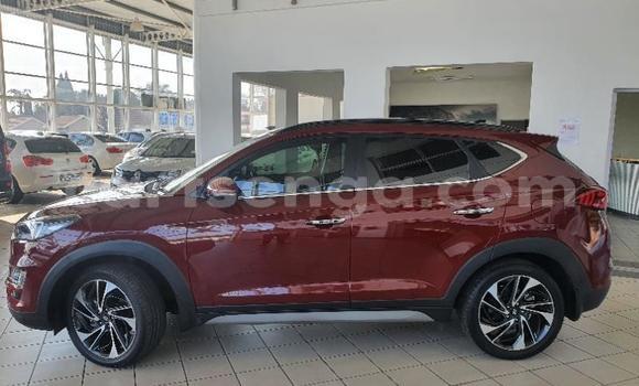 Nunua Ilio tumika Hyundai Tucson Red Gari ndani ya Manzini nchini Manzini Nunua Ilio tumika Hyundai Tucson Red Gari ndani ya Manzini nchini Manzini