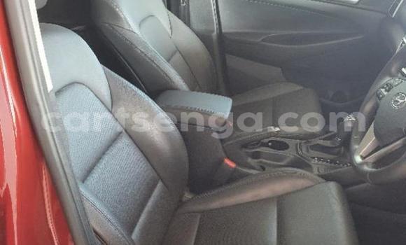 Nunua Ilio tumika Hyundai Tucson Red Gari ndani ya Manzini nchini Manzini Nunua Ilio tumika Hyundai Tucson Red Gari ndani ya Manzini nchini Manzini
