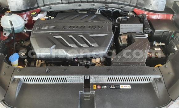 Nunua Ilio tumika Hyundai Tucson Red Gari ndani ya Manzini nchini Manzini Nunua Ilio tumika Hyundai Tucson Red Gari ndani ya Manzini nchini Manzini