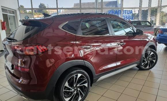 Nunua Ilio tumika Hyundai Tucson Red Gari ndani ya Manzini nchini Manzini Nunua Ilio tumika Hyundai Tucson Red Gari ndani ya Manzini nchini Manzini