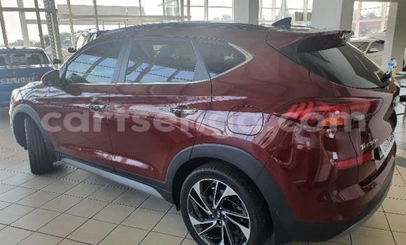 Nunua Ilio tumika Hyundai Tucson Red Gari ndani ya Manzini nchini Manzini Nunua Ilio tumika Hyundai Tucson Red Gari ndani ya Manzini nchini Manzini