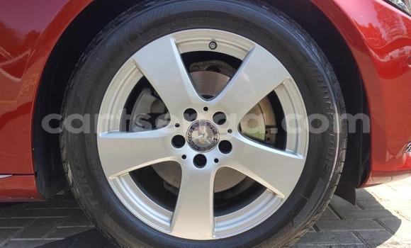 Nunua Ilio tumika Mercedes‒Benz CL–Class Red Gari ndani ya Bhunya nchini Manzini Nunua Ilio tumika Mercedes‒Benz CL–Class Red Gari ndani ya Bhunya nchini Manzini