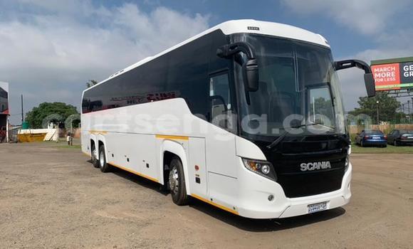 Buy Used Scania R420 White Truck in Mbabane in Manzini Buy Used Scania R420 White Truck in Mbabane in Manzini
