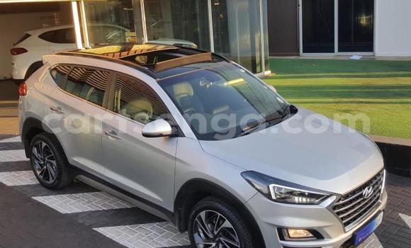 Nunua Ilio tumika Hyundai Tucson White Gari ndani ya Bhunya nchini Manzini Nunua Ilio tumika Hyundai Tucson White Gari ndani ya Bhunya nchini Manzini