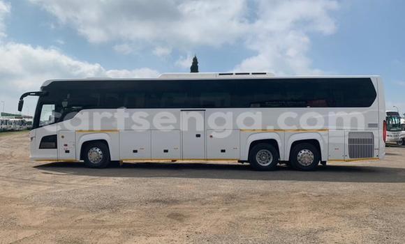 Buy Used Scania R420 White Truck in Mbabane in Manzini Buy Used Scania R420 White Truck in Mbabane in Manzini