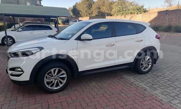 Nunua Ilio tumika Hyundai Tucson White Gari ndani ya Bhunya nchini Manzini Nunua Ilio tumika Hyundai Tucson White Gari ndani ya Bhunya nchini Manzini