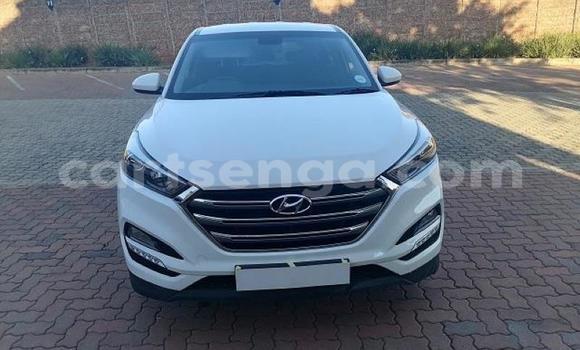 Nunua Ilio tumika Hyundai Tucson White Gari ndani ya Bhunya nchini Manzini Nunua Ilio tumika Hyundai Tucson White Gari ndani ya Bhunya nchini Manzini