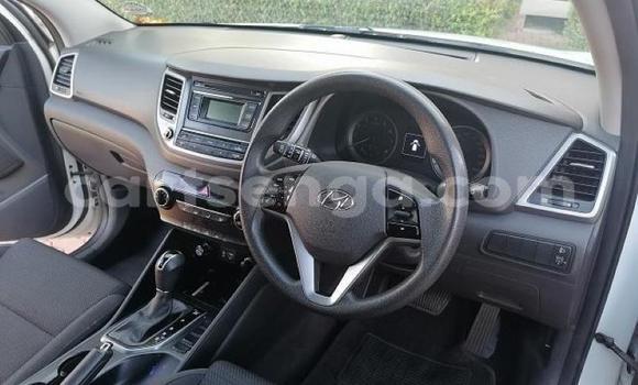 Nunua Ilio tumika Hyundai Tucson White Gari ndani ya Bhunya nchini Manzini Nunua Ilio tumika Hyundai Tucson White Gari ndani ya Bhunya nchini Manzini