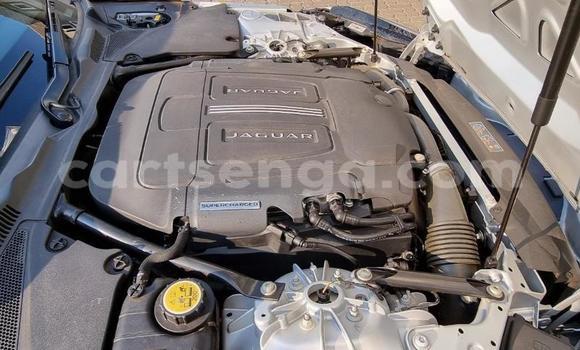 Acheter Occasion Voiture Jaguar F-Type Gris à Mbabane, Manzini Acheter Occasion Voiture Jaguar F-Type Gris à Mbabane, Manzini