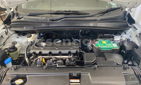 Acheter Occasion Voiture Hyundai ix35 Gris à Ezulwini, Hhohho Acheter Occasion Voiture Hyundai ix35 Gris à Ezulwini, Hhohho