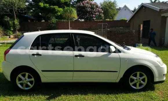 Buy Used Toyota Runx White Car in Mbabane in Manzini Buy Used Toyota Runx White Car in Mbabane in Manzini