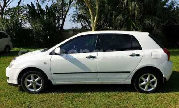 Buy Used Toyota Runx White Car in Mbabane in Manzini Buy Used Toyota Runx White Car in Mbabane in Manzini