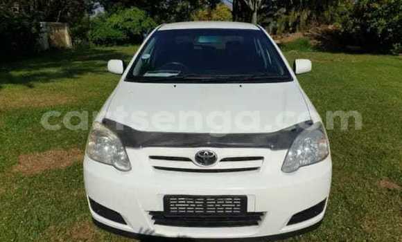 Buy Used Toyota Runx White Car in Mbabane in Manzini Buy Used Toyota Runx White Car in Mbabane in Manzini