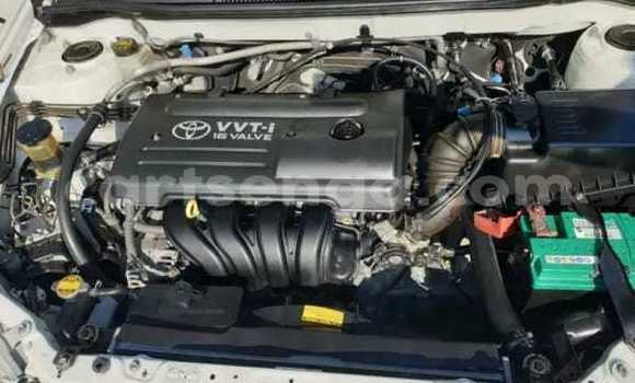 Buy Used Toyota Runx White Car in Mbabane in Manzini Buy Used Toyota Runx White Car in Mbabane in Manzini