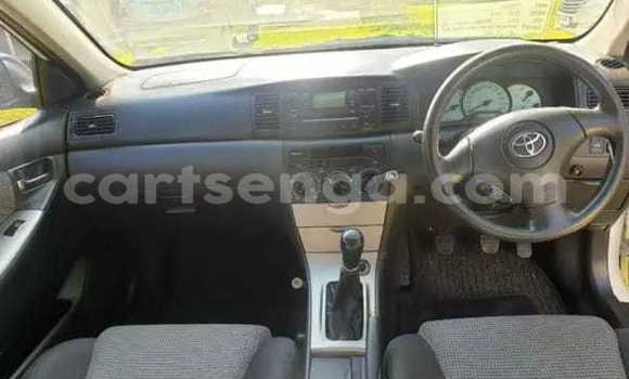 Buy Used Toyota Runx White Car in Mbabane in Manzini Buy Used Toyota Runx White Car in Mbabane in Manzini