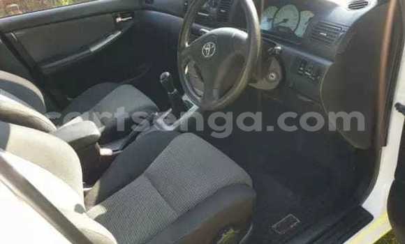 Acheter Occasion Voiture Toyota Runx Blanc à Manzini, Manzini Acheter Occasion Voiture Toyota Runx Blanc à Manzini, Manzini