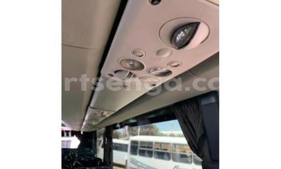 Buy Used Scania Irizar White Truck in Mbabane in Manzini Buy Used Scania Irizar White Truck in Mbabane in Manzini
