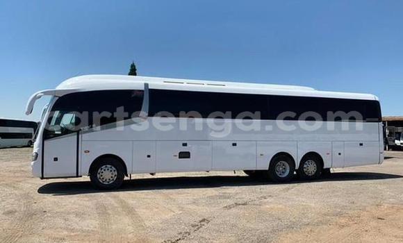 Buy Used Scania Irizar White Truck in Mbabane in Manzini Buy Used Scania Irizar White Truck in Mbabane in Manzini