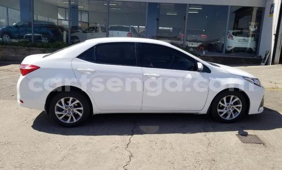 Acheter Occasion Voiture Toyota Corolla Blanc à Big Bend, Lubombo District Acheter Occasion Voiture Toyota Corolla Blanc à Big Bend, Lubombo District