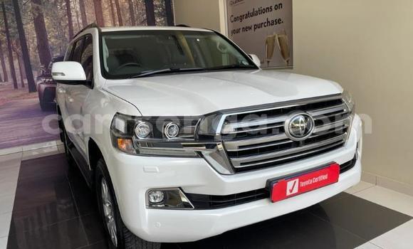 Nunua Ilio tumika Toyota Land Cruiser White Gari ndani ya Ezulwini nchini Hhohho Nunua Ilio tumika Toyota Land Cruiser White Gari ndani ya Ezulwini nchini Hhohho