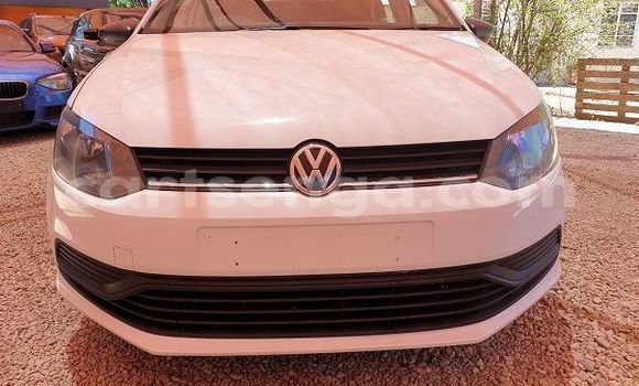 Buy Used Volkswagen Polo White Car in Ezulwini in Hhohho