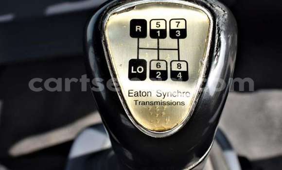 Acheter Occasion Utilitaire Hino 300 Series Gris à Big Bend, Lubombo Acheter Occasion Utilitaire Hino 300 Series Gris à Big Bend, Lubombo