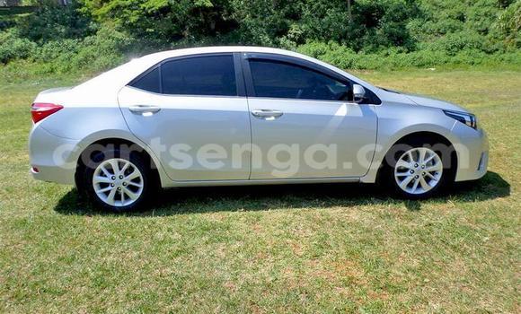 Nunua Ilio tumika Toyota Corolla Blue Gari ndani ya Ezulwini nchini Hhohho Nunua Ilio tumika Toyota Corolla Blue Gari ndani ya Ezulwini nchini Hhohho