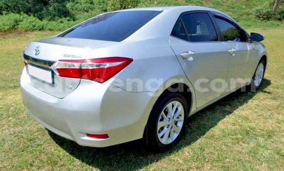 Nunua Ilio tumika Toyota Corolla Blue Gari ndani ya Ezulwini nchini Hhohho Nunua Ilio tumika Toyota Corolla Blue Gari ndani ya Ezulwini nchini Hhohho