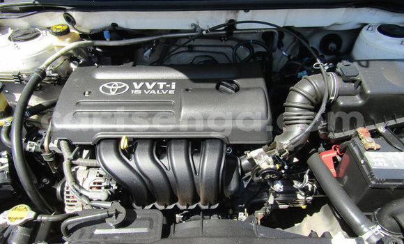 Buy Used Toyota Runx White Car in Mbabane in Manzini Buy Used Toyota Runx White Car in Mbabane in Manzini