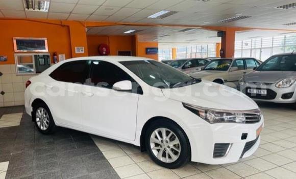 Nunua Ilio tumika Toyota Corolla White Gari ndani ya Ezulwini nchini Hhohho Nunua Ilio tumika Toyota Corolla White Gari ndani ya Ezulwini nchini Hhohho