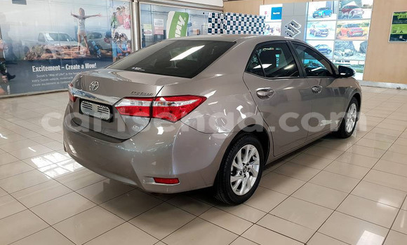Buy Used Toyota Corolla Brown Car in Ezulwini in Hhohho Buy Used Toyota Corolla Brown Car in Ezulwini in Hhohho