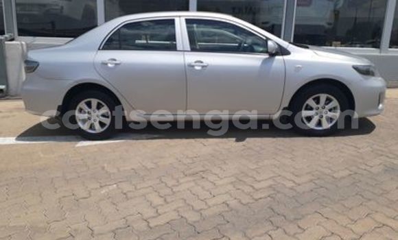 Acheter Occasion Voiture Toyota Corolla Gris à Big Bend, Lubombo District Acheter Occasion Voiture Toyota Corolla Gris à Big Bend, Lubombo District