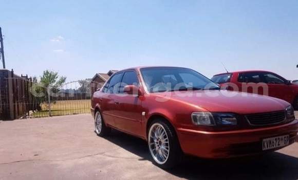 Buy Used Toyota Corolla Red Car in Big Bend in Lubombo District Buy Used Toyota Corolla Red Car in Big Bend in Lubombo District