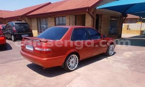 Acheter Occasion Voiture Toyota Corolla Rouge à Big Bend, Lubombo District Acheter Occasion Voiture Toyota Corolla Rouge à Big Bend, Lubombo District