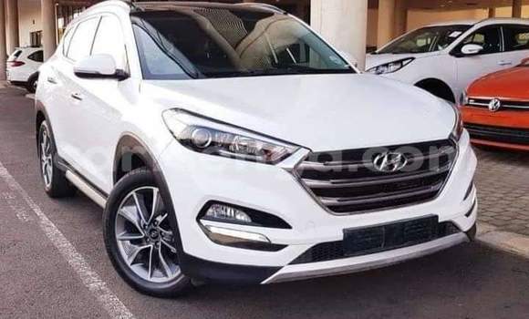 Buy Used Hyundai Tucson White Car in Big Bend in Lubombo District Buy Used Hyundai Tucson White Car in Big Bend in Lubombo District