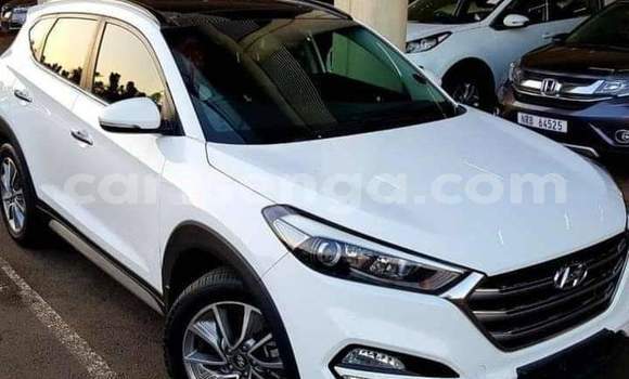 Buy Used Hyundai Tucson White Car in Big Bend in Lubombo District Buy Used Hyundai Tucson White Car in Big Bend in Lubombo District