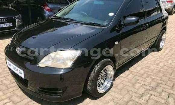 Nunua Ilio tumika Toyota Runx White Gari ndani ya Big Bend nchini Wilaya ya Lubombo Nunua Ilio tumika Toyota Runx White Gari ndani ya Big Bend nchini Wilaya ya Lubombo