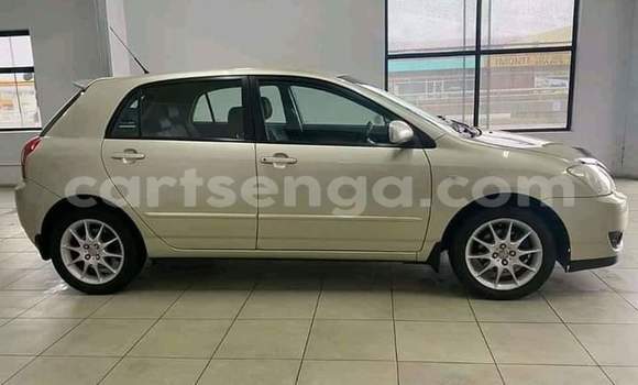 Buy Used Toyota Runx Silver Car in Big Bend in Lubombo District Buy Used Toyota Runx Silver Car in Big Bend in Lubombo District