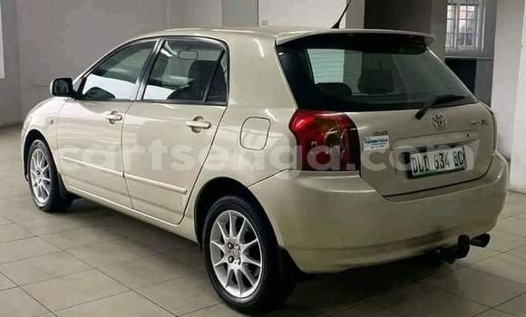 Buy Used Toyota Runx Silver Car in Big Bend in Lubombo District Buy Used Toyota Runx Silver Car in Big Bend in Lubombo District