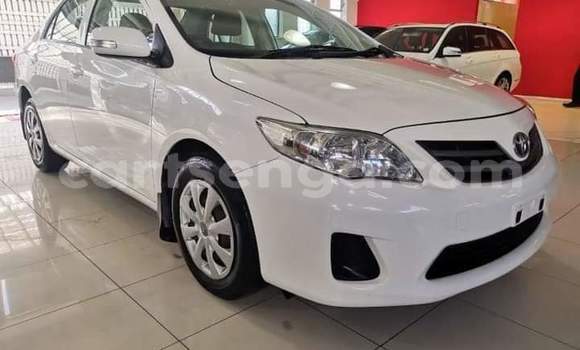 Buy Used Toyota Corolla White Car in Big Bend in Lubombo District