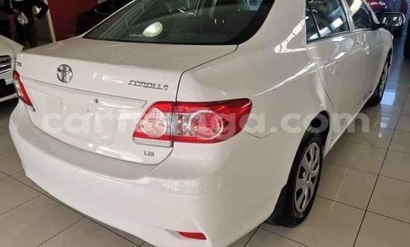 Acheter Occasion Voiture Toyota Corolla Blanc à Big Bend, Lubombo District Acheter Occasion Voiture Toyota Corolla Blanc à Big Bend, Lubombo District