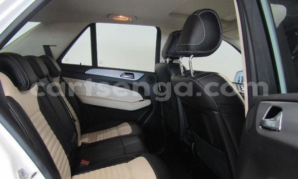 Buy Used Mercedes‒Benz GLE White Car in Big Bend in Lubombo District Buy Used Mercedes‒Benz GLE White Car in Big Bend in Lubombo District
