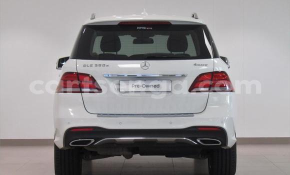 Buy Used Mercedes‒Benz GLE White Car in Big Bend in Lubombo District Buy Used Mercedes‒Benz GLE White Car in Big Bend in Lubombo District