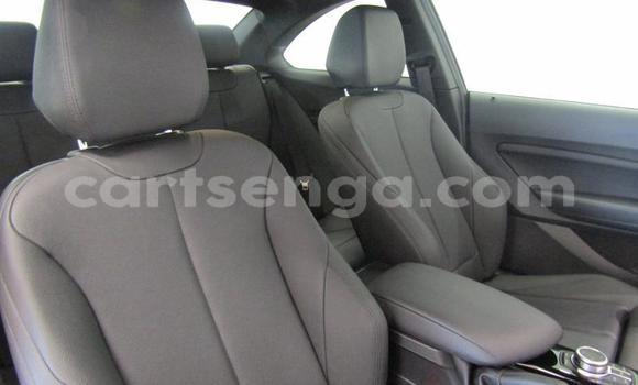 Buy Used BMW 2-Series Silver Car in Big Bend in Lubombo District Buy Used BMW 2-Series Silver Car in Big Bend in Lubombo District
