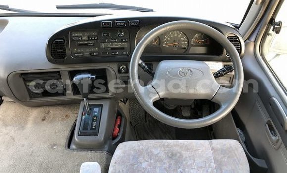 Nunua Ilio tumika Toyota Coaster Other Gari ndani ya Big Bend nchini Wilaya ya Lubombo Nunua Ilio tumika Toyota Coaster Other Gari ndani ya Big Bend nchini Wilaya ya Lubombo